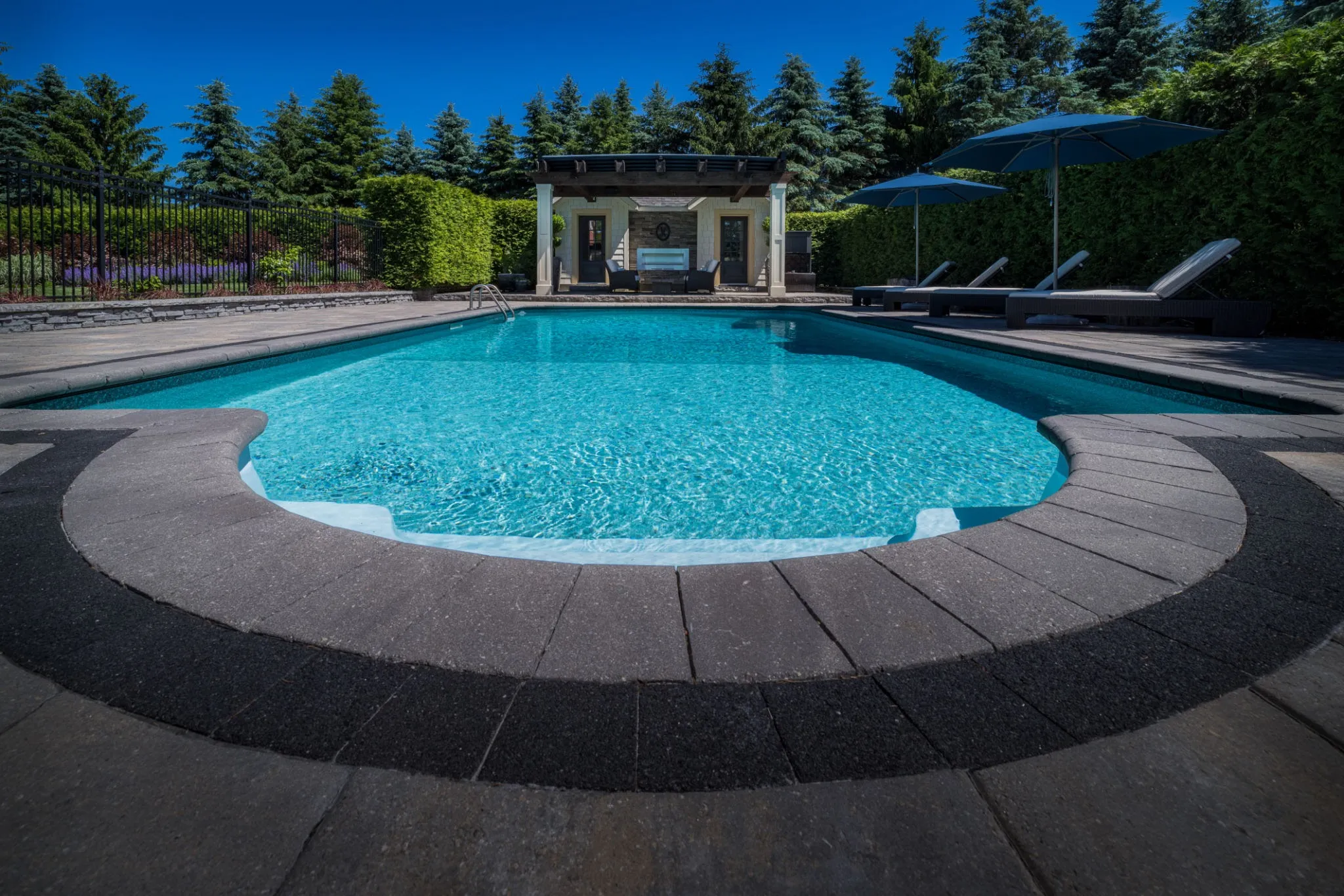 a modern pool with greycharcoal finish surrounded by contemporary landscaping