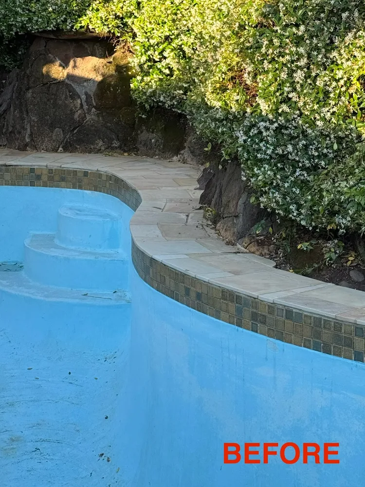 Before pool Photos 1